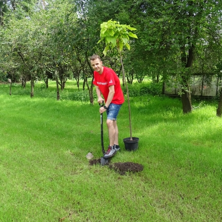 POMOCNA DŁOŃ FUNDACJI ORLEN