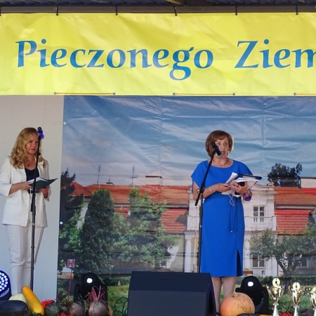 nowe Dzień Pieczonego Ziemniaka XXVIII