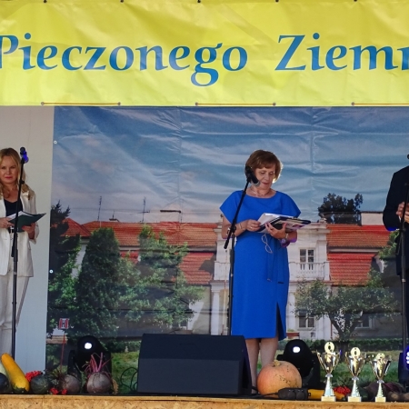 nowe Dzień Pieczonego Ziemniaka XXVIII